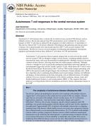 Autoimmune T cell responses in the central nervous system