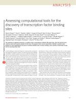 Assessing computational tools for the discovery of transcription factor binding sites