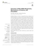 Overview of MicroRNA Biogenesis, Mechanisms of Actions, and Circulation