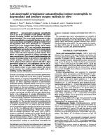 Anti-neutrophil cytoplasmic autoantibodies induce neutrophils to degranulate and produce oxygen radicals in vitro (vasculitis/glomerulonephritis/immunopathogenesis)