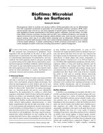 Biofilms: Microbial Life on Surfaces