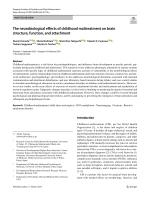 The neurobiological effects of childhood maltreatment on brain structure, function, and attachment
