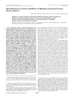 Identification of a Novel Inhibitor of Mitogen-activated Protein Kinase Kinase