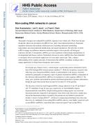 Non-coding RNA networks in cancer