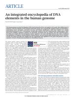 An integrated encyclopedia of DNA elements in the human genome