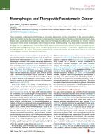 Macrophages and Therapeutic Resistance in Cancer