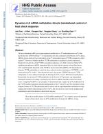 Dynamic m6A mRNA methylation directs translational control of heat shock response