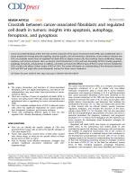 Crosstalk between cancer-associated fibroblasts and regulated cell death in tumors: insights into apoptosis, autophagy, ferroptosis, and pyroptosis