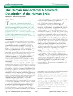 The Human Connectome: A Structural Description of the Human Brain