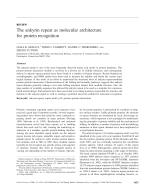The ankyrin repeat as molecular architecture for protein recognition