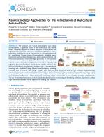 Nanotechnology Approaches for the Remediation of Agricultural Polluted Soils
