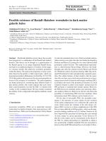 Possible existence of Rastall–Rainbow wormholes in dark matter galactic halos