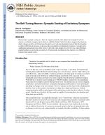 The Self-Tuning Neuron: Synaptic Scaling of Excitatory Synapses
