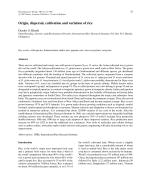 Origin, dispersal, cultivation and variation of rice