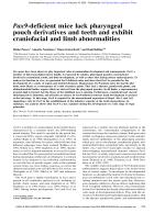 Pax9-deficient mice lack pharyngeal pouch derivatives and teeth and exhibit craniofacial and limb abnormalities