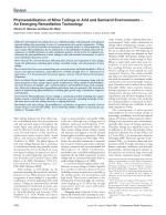 Phytostabilization of Mine Tailings in Arid and Semiarid Environments—An Emerging Remediation Technology