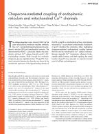Chaperone-mediated coupling of endoplasmic reticulum and mitochondrial Ca2+ channels