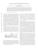 Quantum computation with trapped polar molecules