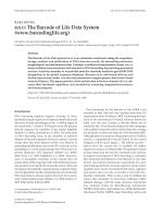 BARCODING BOLD: The Barcode of Life Data System (www.barcodinglife.org)