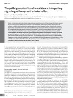 The pathogenesis of insulin resistance: integrating signaling pathways and substrate flux