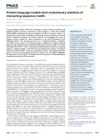 Protein language models learn evolutionary statistics of interacting sequence motifs