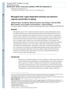 Microglial brain region-dependent diversity and selective regional sensitivities to ageing