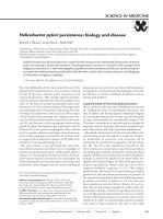 Helicobacter pylori persistence: biology and disease
