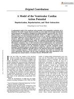 A Model of the Ventricular Cardiac Action Potential Depolarization, Repolarization, and Their Interaction