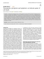 Necroptosis, pyroptosis and apoptosis: an intricate game of cell death