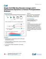 Single-Cell RNA-Seq Reveals Lineage and X Chromosome Dynamics in Human Preimplantation Embryos