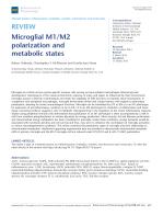 Microglial M1/M2 polarization and metabolic states