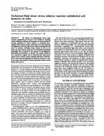 Turbulent fluid shear stress induces vascular endothelial cell turnover in vitro (hemodynamic forces/endothelial growth control/atherosclerosis)