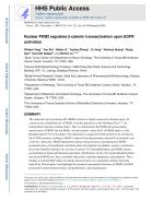 Nuclear PKM2 regulates β-catenin transactivation upon EGFR activation