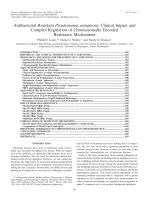 Antibacterial-Resistant Pseudomonas aeruginosa: Clinical Impact and Complex Regulation of Chromosomally Encoded Resistance Mechanisms