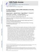 A unique regulatory phase of DNA methylation in the early mammalian embryo