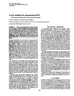 A new method for sequencing DNA (DNA chemistry/dimethyl sulfate cleavage/hydrazine/piperidine)