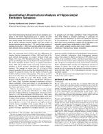Quantitative Ultrastructural Analysis of Hippocampal Excitatory Synapses