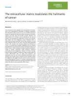 The extracellular matrix modulates the hallmarks of cancer