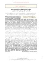 Renin–Angiotensin–Aldosterone System Inhibitors in Patients with Covid-19