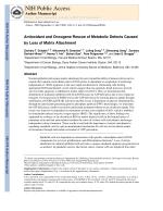 Antioxidant and Oncogene Rescue of Metabolic Defects Caused by Loss of Matrix Attachment