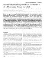 Niche-Independent Symmetrical Self-Renewal of a Mammalian Tissue Stem Cell