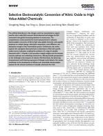 Selective Electrocatalytic Conversion of Nitric Oxide to High Value-Added Chemicals