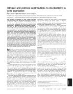 Intrinsic and extrinsic contributions to stochasticity in gene expression