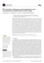The Vital Role of Melatonin and Its Metabolites in the Neuroprotection and Retardation of Brain Aging
