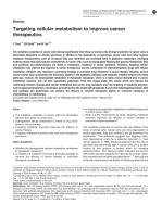 Targeting cellular metabolism to improve cancer therapeutics