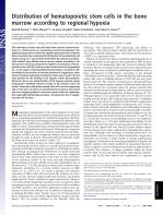Distribution of hematopoietic stem cells in the bone marrow according to regional hypoxia