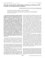 Chloride Accumulation and Swelling in Endosomes Enhances DNA Transfer by Polyamine-DNA Polyplexes