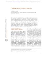 Voltage-Gated Calcium Channels