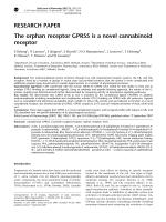 The orphan receptor GPR55 is a novel cannabinoid receptor