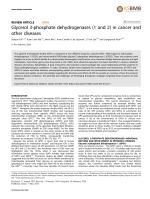 Glycerol 3-phosphate dehydrogenases (1 and 2) in cancer and other diseases